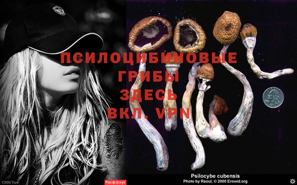 скорость Алексин