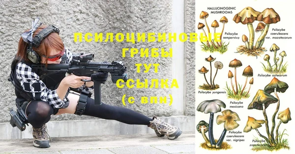 спайс Алексеевка