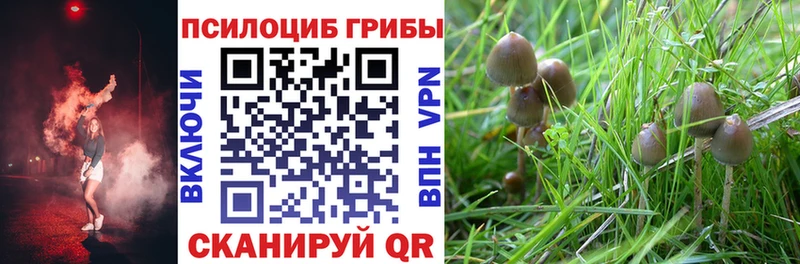 наркошоп МЕГА вход Галлюциногенные грибы Psilocybe Сосенский